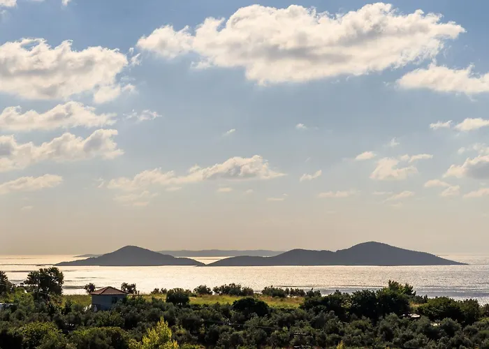 Willa Aelios Patitiri